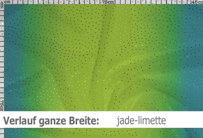Netzstoff mit Farbverlauf & Pailletten - Reste