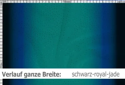 Netzstoff mit Farbverlauf & Pailletten