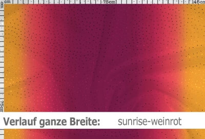 Netzstoff mit Farbverlauf & Pailletten - Reste