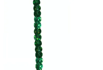 Holo Paillettenband 1reihig