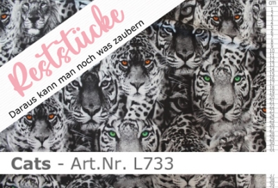 Lycra-animal print Cats