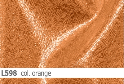 Lycra - Design Shine - Reste