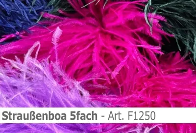 Straussen-Boa 5fach male