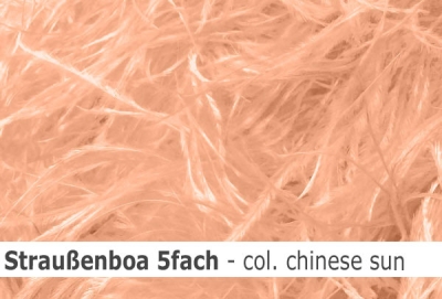 Straussen-Boa 5fach male - sale