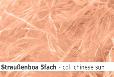 Straussen-Boa 5fach male - sale