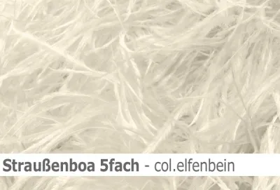 Straussen-Boa 5fach male