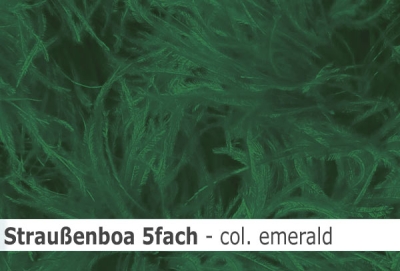 Straussen-Boa 5fach male