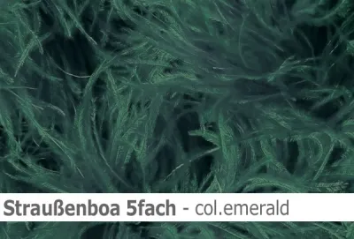 Straussen-Boa 5fach male