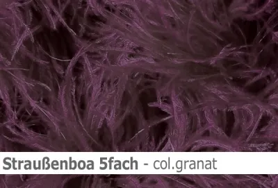 Straussen-Boa 5fach male