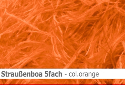 Straussen-Boa 5fach male