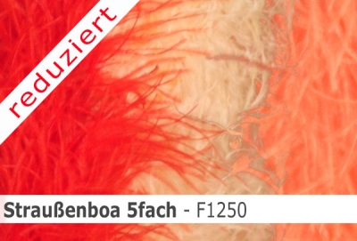 Straussen-Boa 5fach male - sale