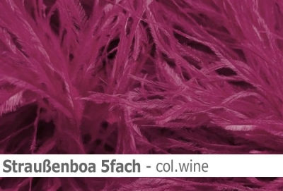 Straussen-Boa 5fach male