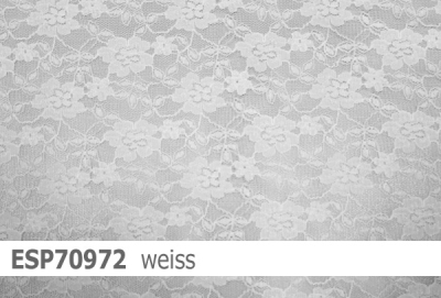 elastische Spitze  - ESP70972 - Reste