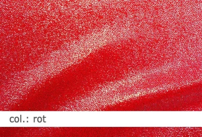 Lycra  - Design Silbernebel